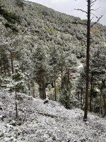 La Massana